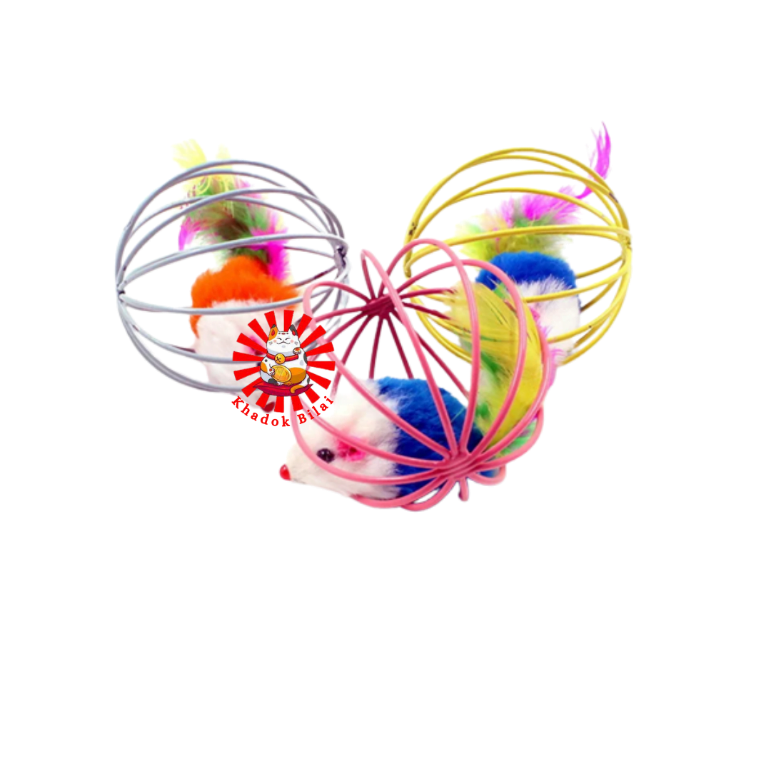 Rolling Ball Toy For Kitten & Cat | Mouse Inside