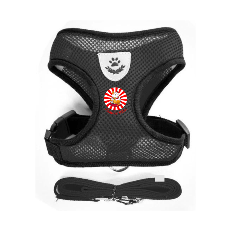 Chest Vest With Harness For Cats & Puppy